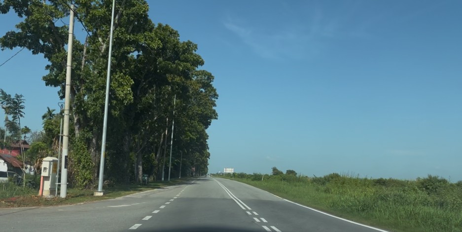 Roadside Image