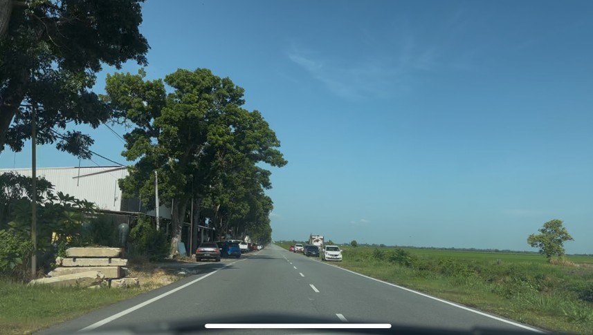 Roadside Image