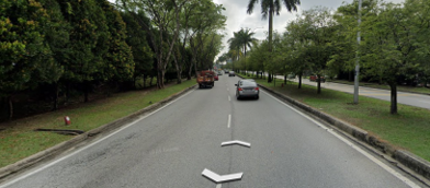 Roadside Image