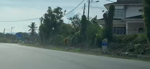 Roadside Image
