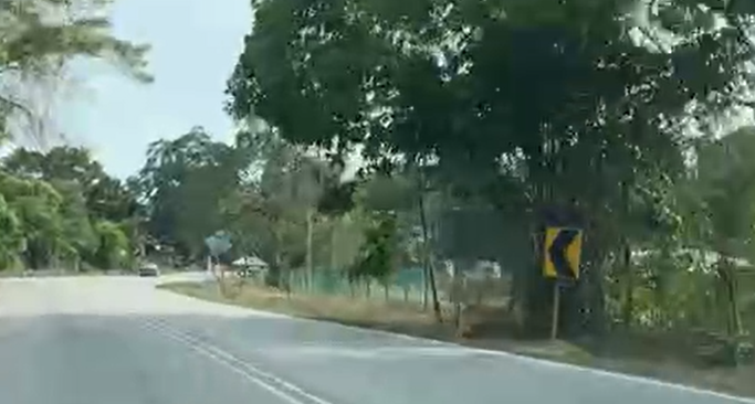 Roadside Image