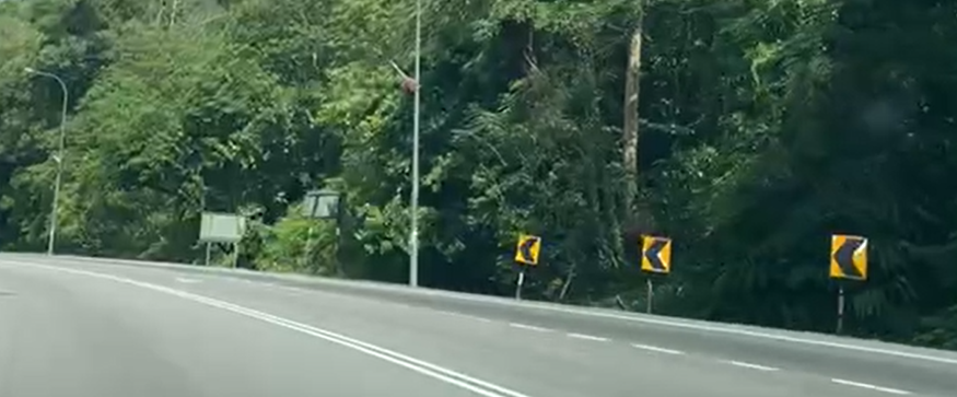 Roadside Image