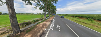 Track View Image