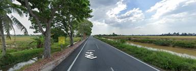 Track View Image