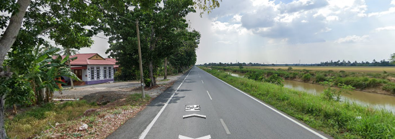 Track View Image