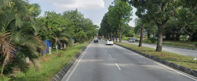 Track View Image