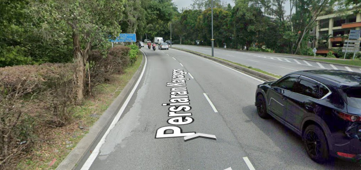 Track View Image