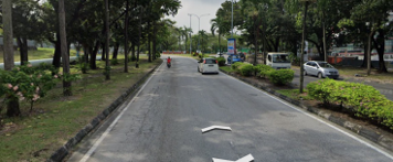 Track View Image