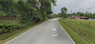 Track View Image