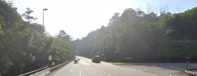 Track View Image